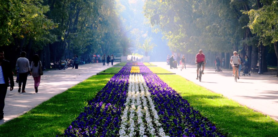 ОП “Управление на проекти и озеленяване”